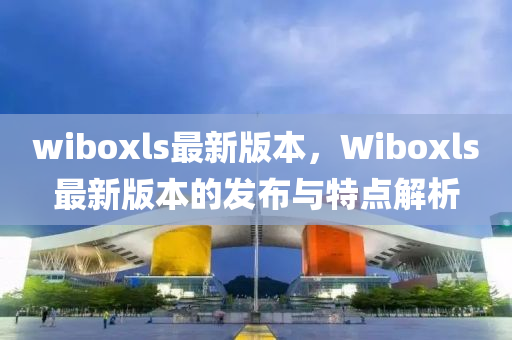 Wiboxls最新版3.3.3，功能与特性深度解析