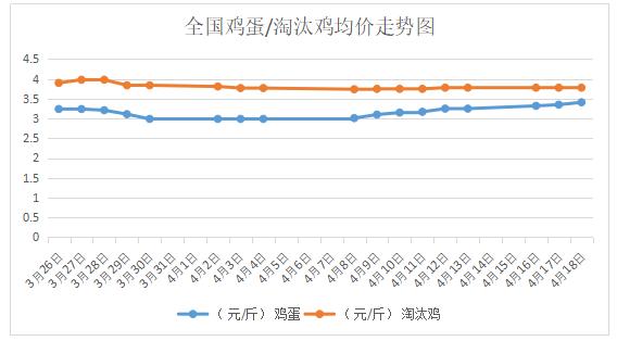 今日鸡蛋最新价格，市场走势与影响因素分析